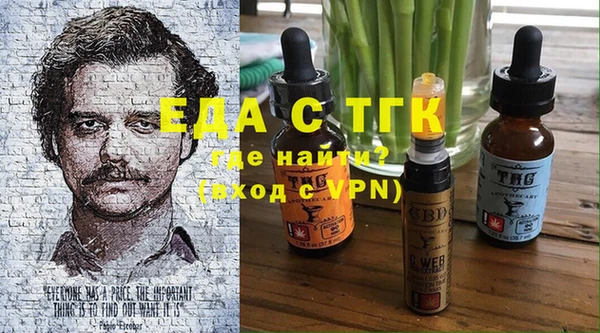 дживик Семилуки