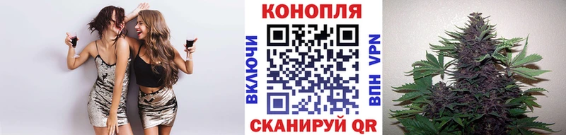 Канабис планчик  Руза 